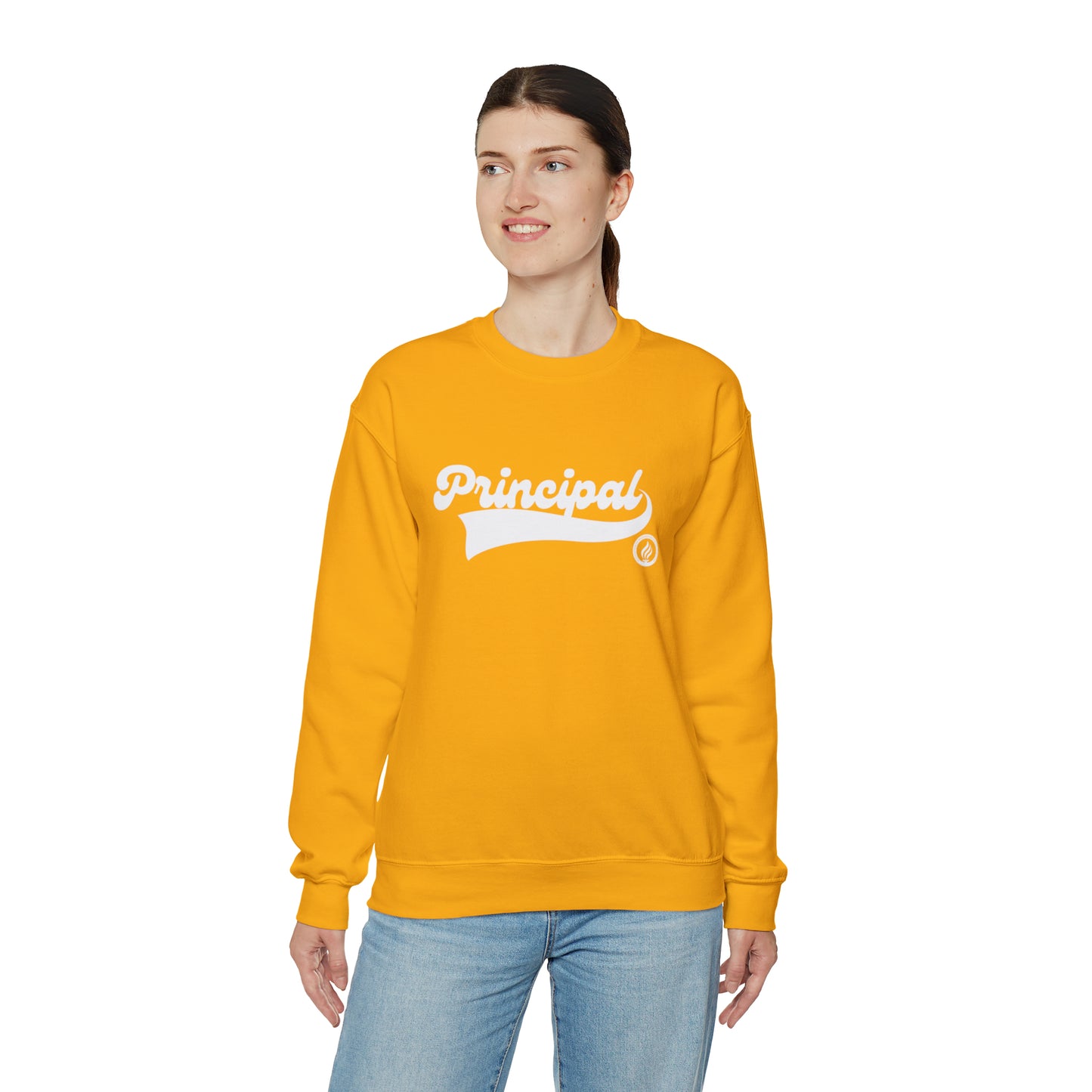 Principal Vintage Logo; MANY colors
