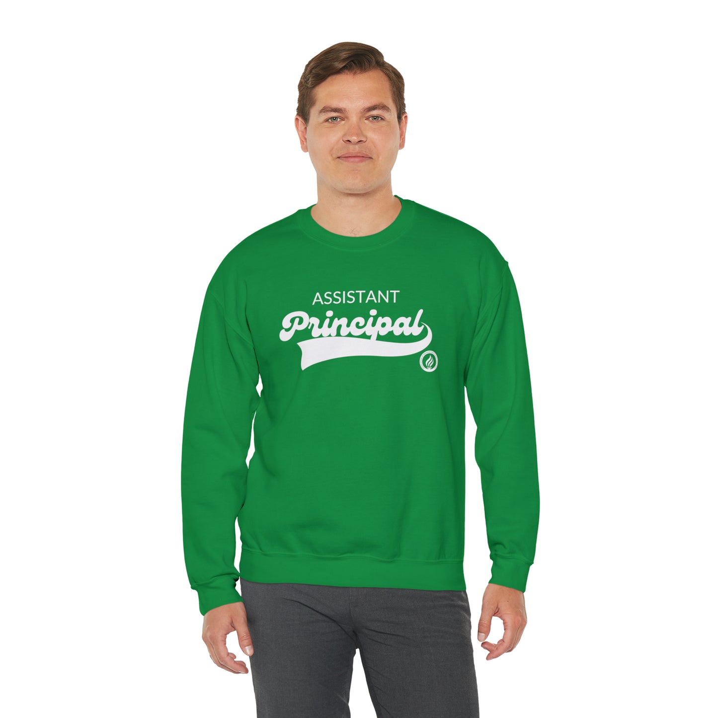 Assistant Principal Vintage Logo; many colors