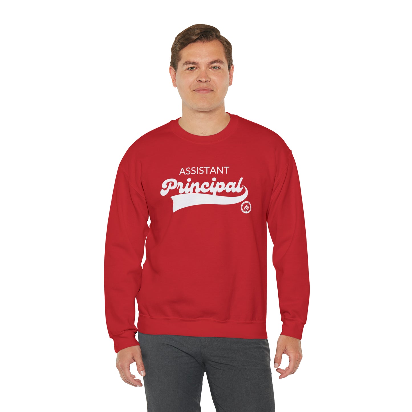 Assistant Principal Vintage Logo; many colors