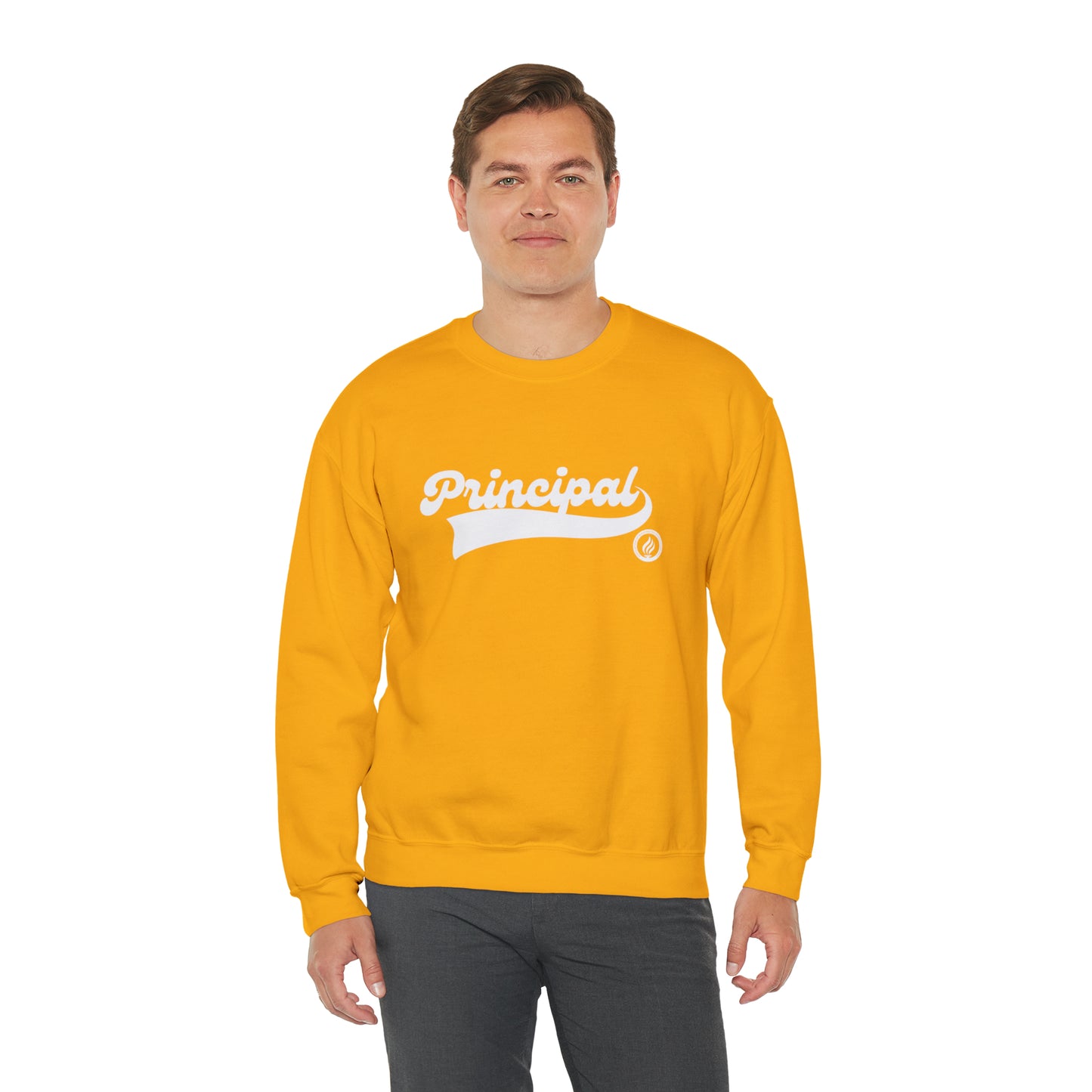 Principal Vintage Logo; MANY colors