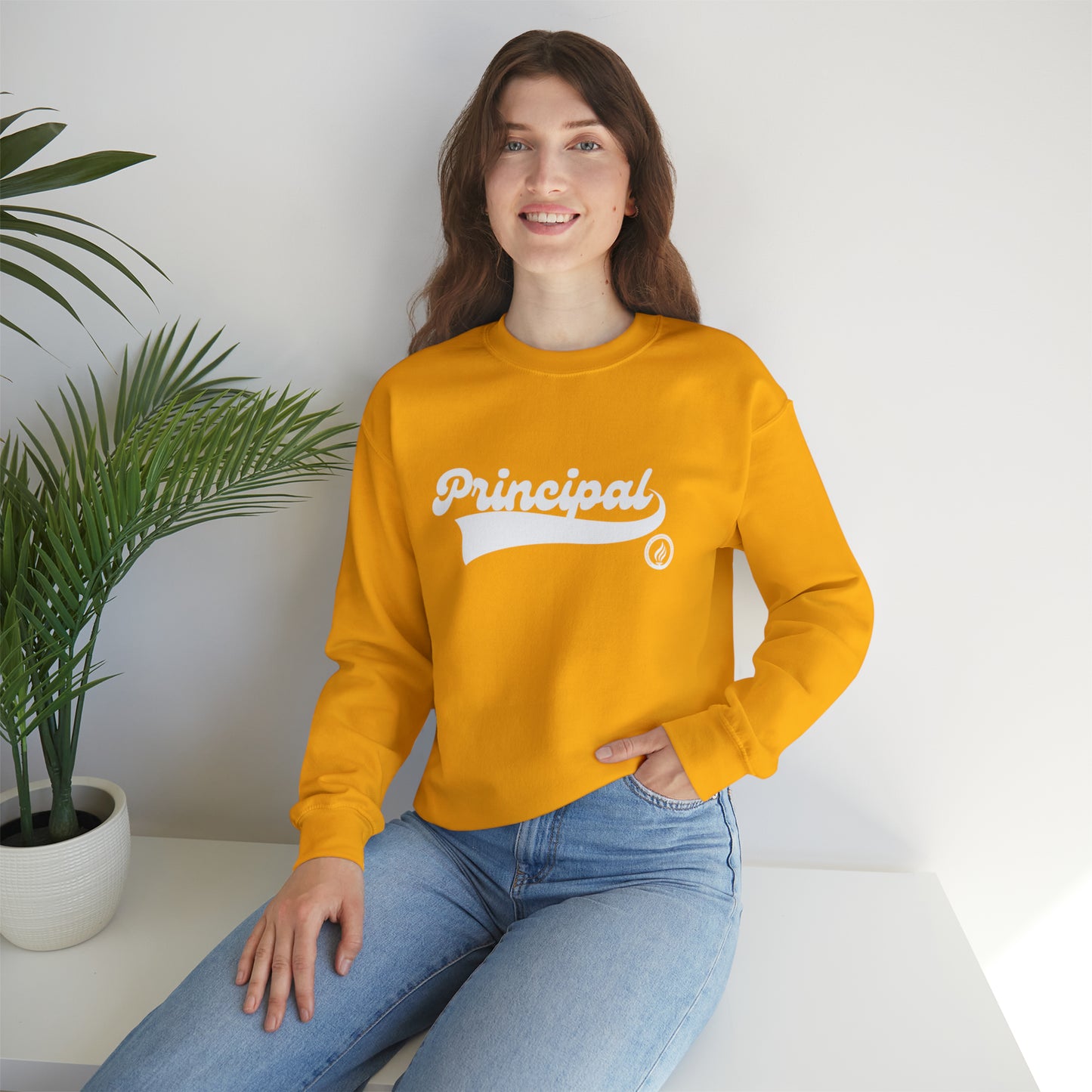 Principal Vintage Logo; MANY colors